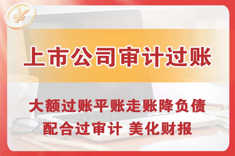 滨湖上市公司审计过账